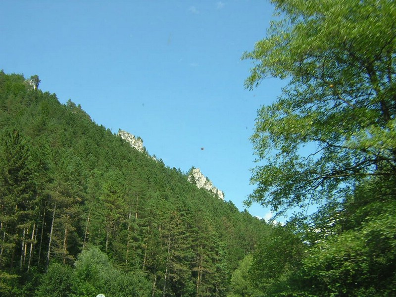 DSCN5413.JPG