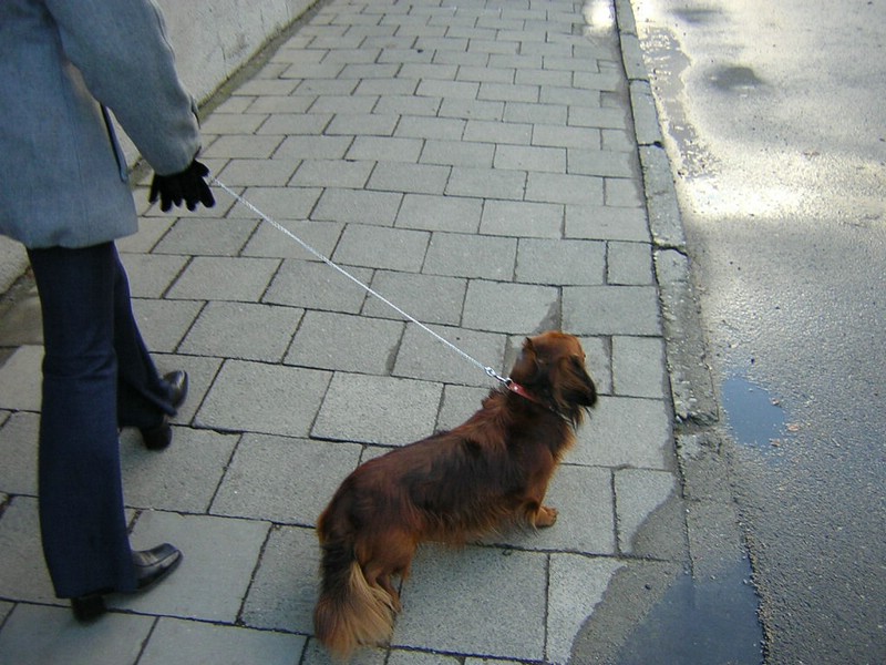 DSCN3216.JPG