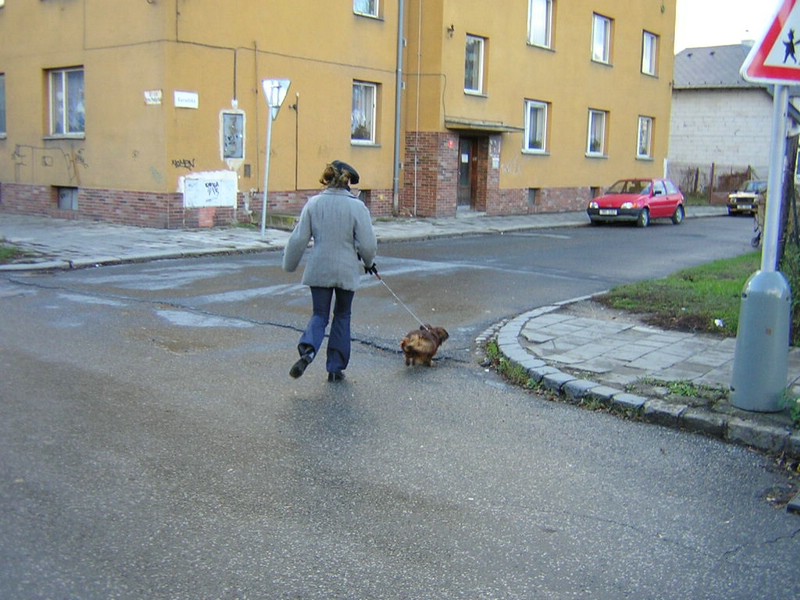 DSCN3217.JPG