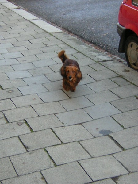 DSCN3225.JPG
