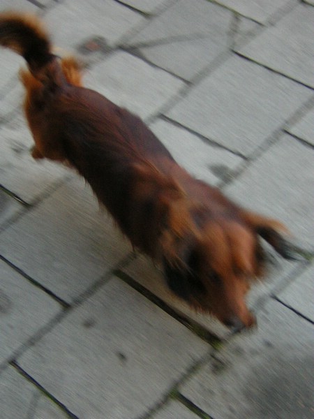 DSCN3226.JPG