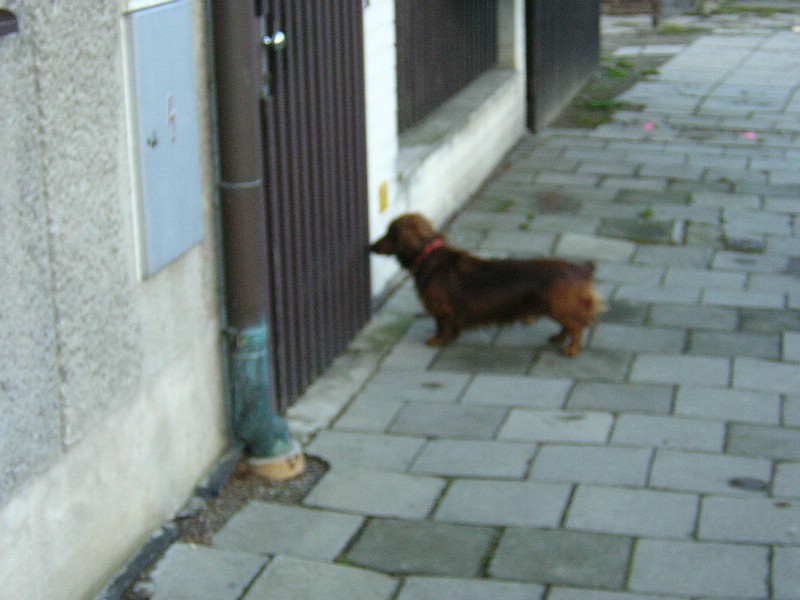 DSCN3231.JPG