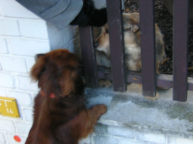 DSCN3232.JPG