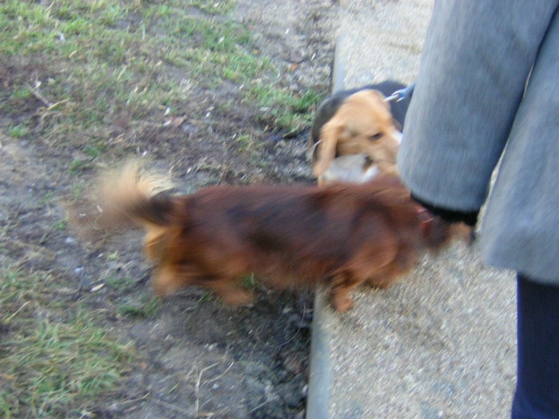 DSCN3234.JPG