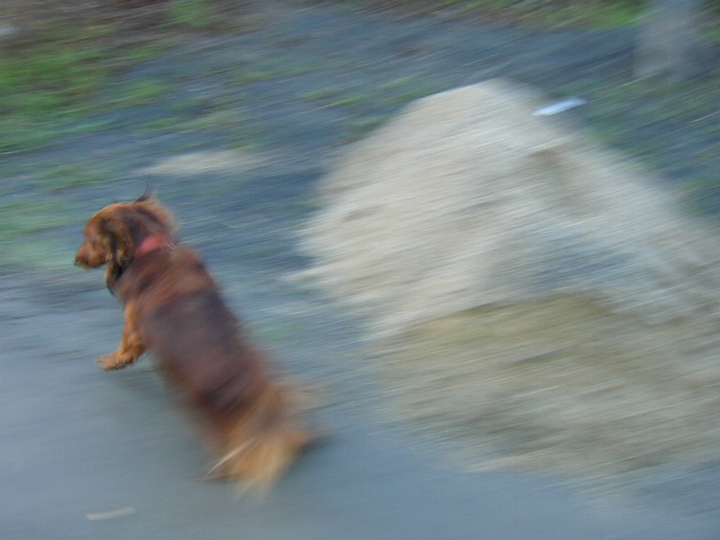 DSCN3235.JPG