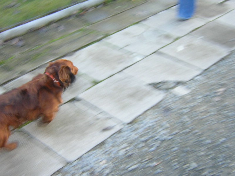 DSCN3237.JPG