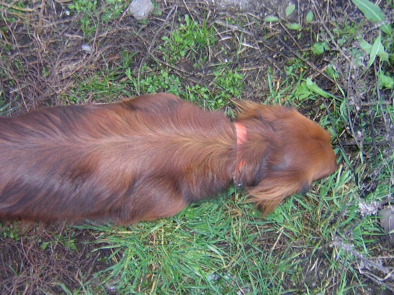 DSCN3242.JPG