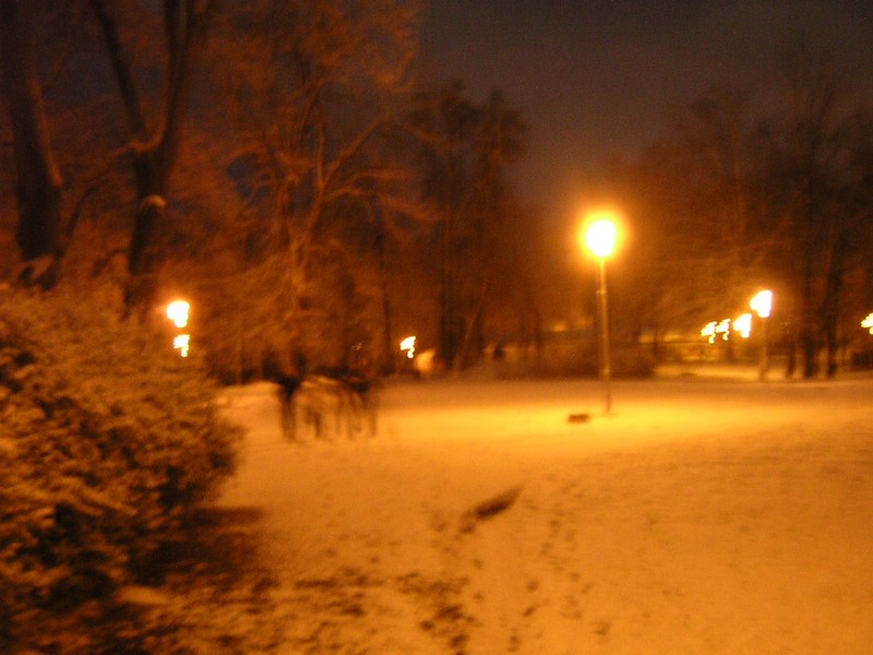 DSCN3261.JPG