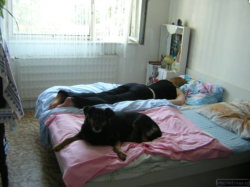 DSCN0266.JPG