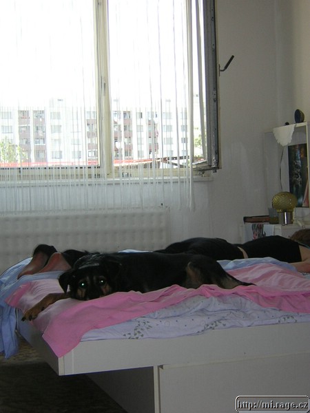DSCN0268.JPG