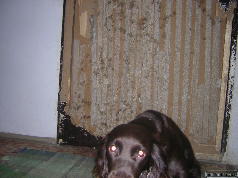 DSCN0270.JPG