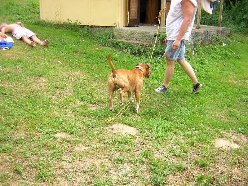 DSCN2749.JPG