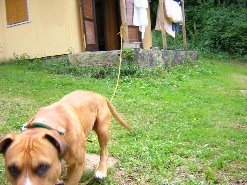 DSCN2750.JPG