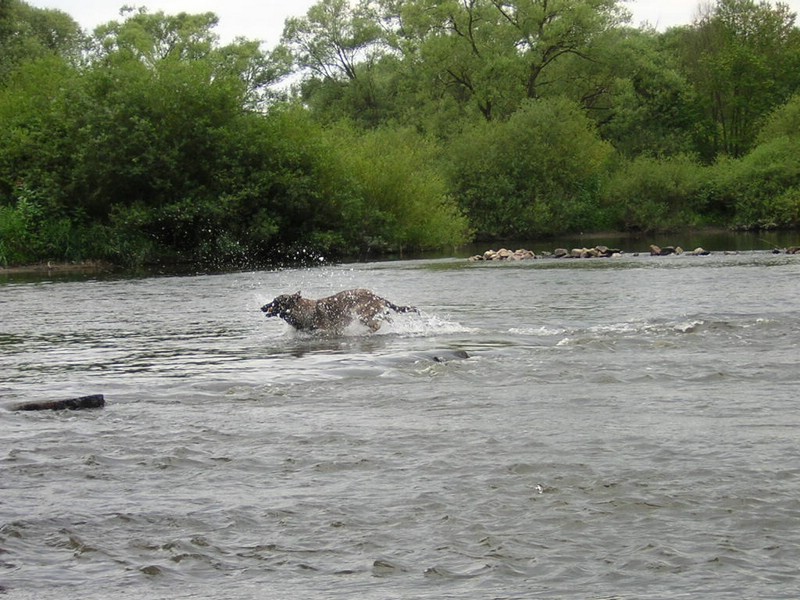 DSCN2819.JPG
