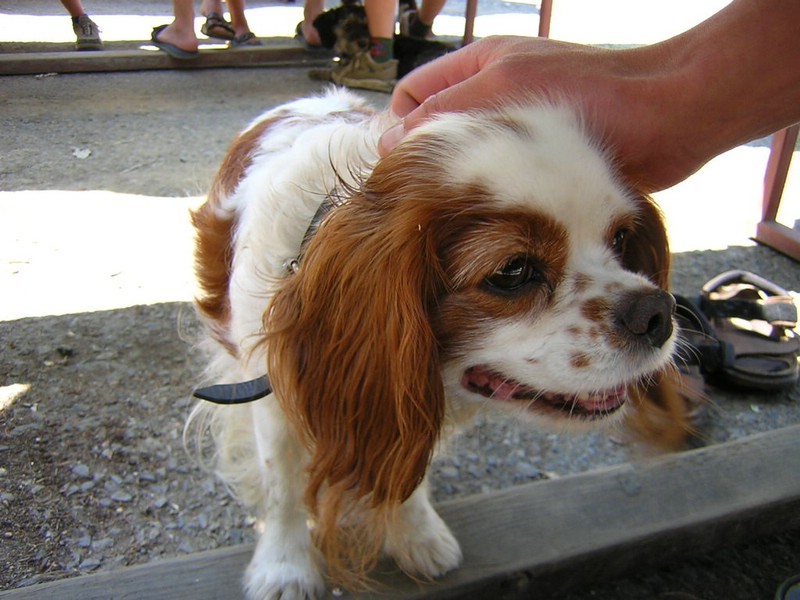 DSCN2885.JPG