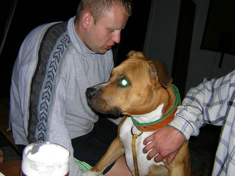 DSCN3368.JPG
