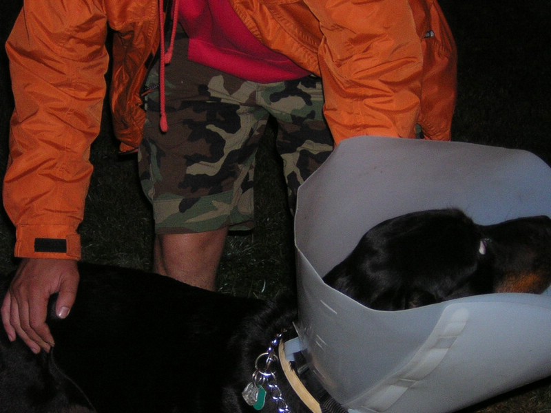 DSCN3375.JPG