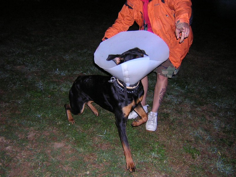 DSCN3378.JPG