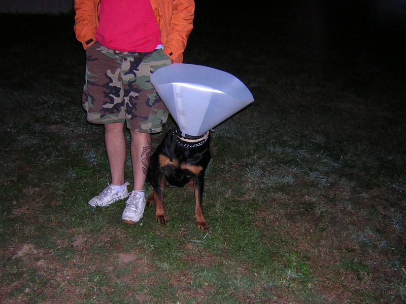 DSCN3380.JPG
