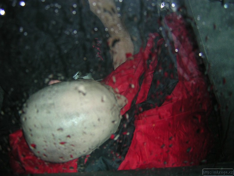 DSCN9518.JPG
