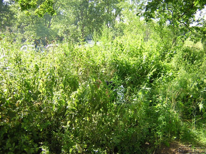 DSCN9663.JPG