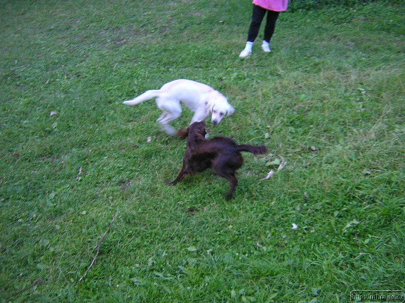 DSCN9691.JPG