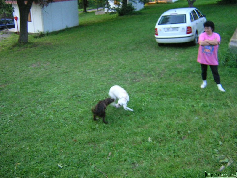 DSCN9696.JPG