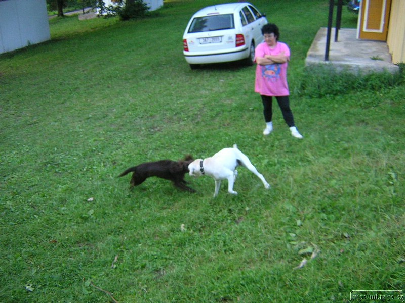 DSCN9697.JPG