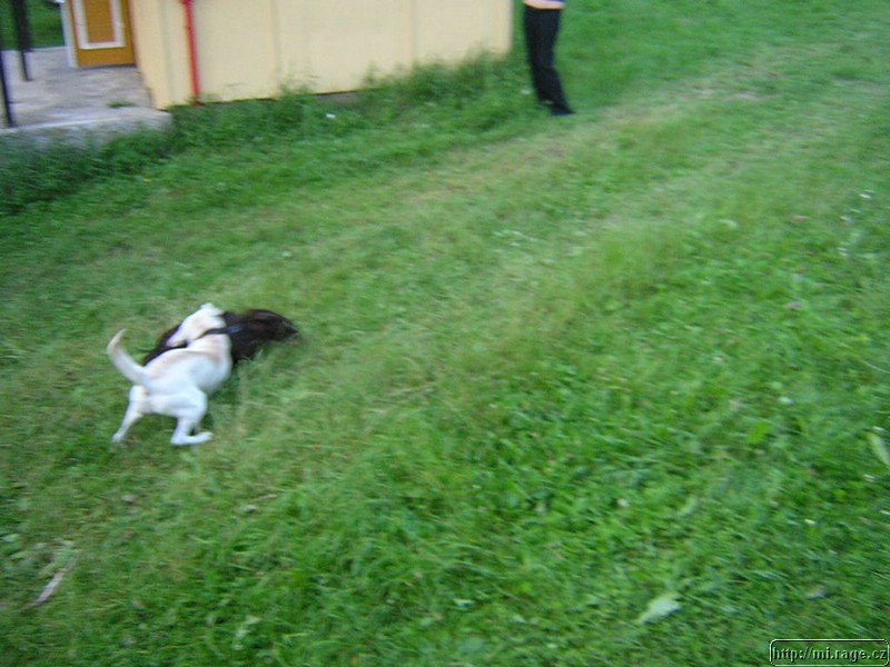 DSCN9701.JPG