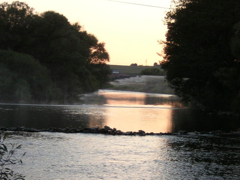 DSCN6313.JPG