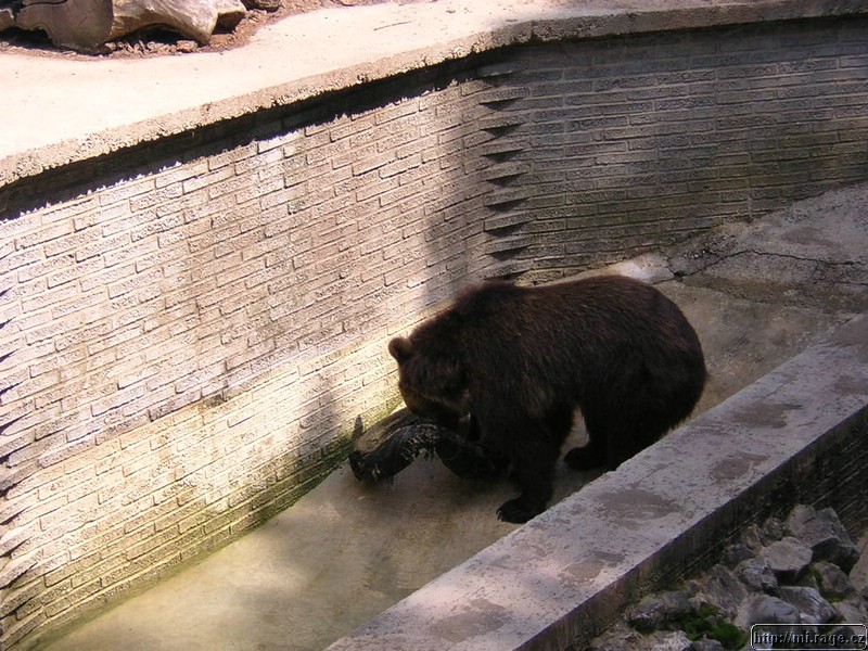 DSCN2219.JPG