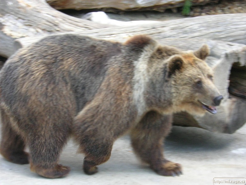 DSCN2226.JPG