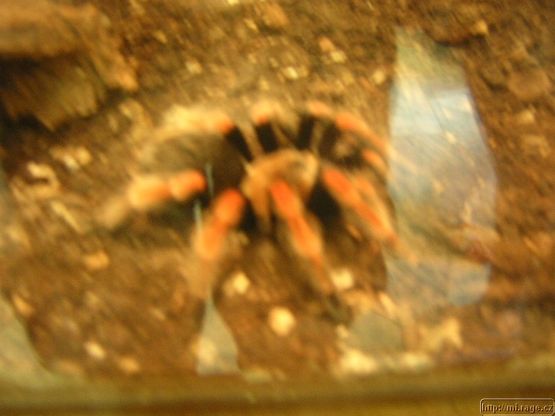 DSCN2227.JPG