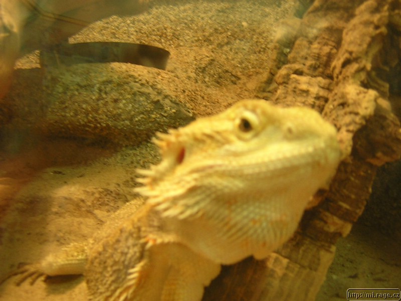 DSCN2228.JPG