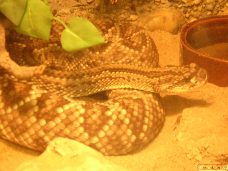 DSCN2231.JPG