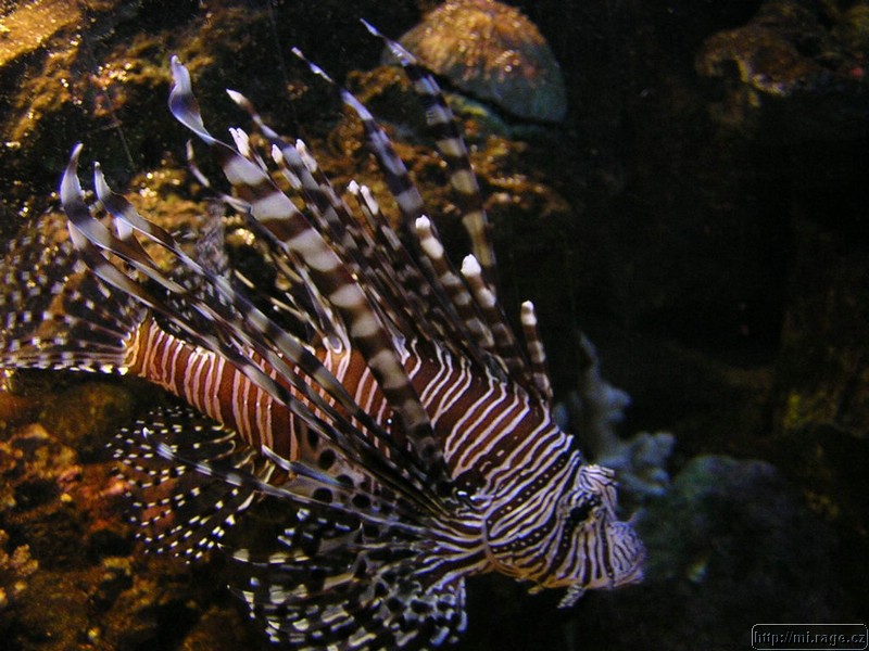 DSCN2234.JPG