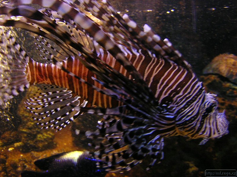 DSCN2241.JPG