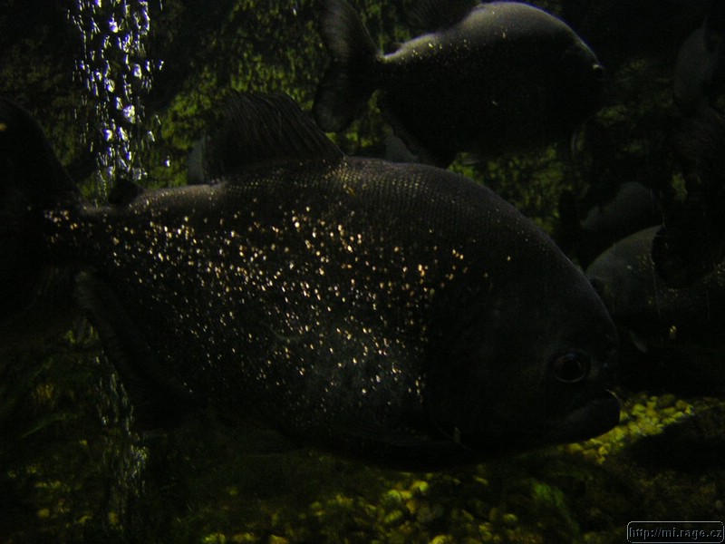 DSCN2246.JPG