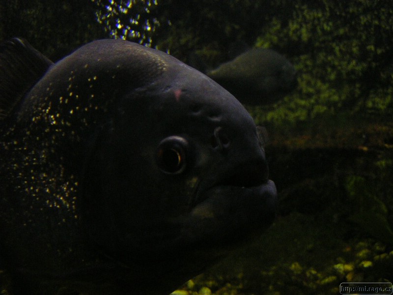 DSCN2247.JPG