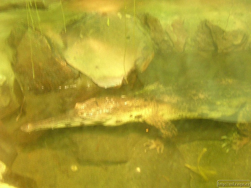 DSCN2254.JPG