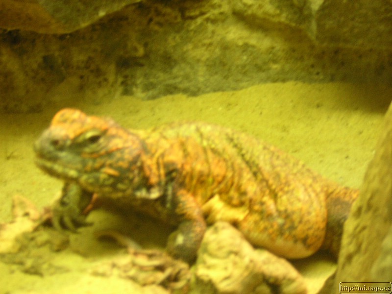 DSCN2255.JPG