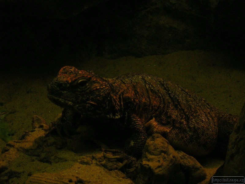 DSCN2256.JPG