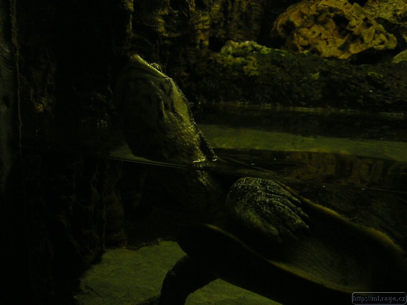 DSCN2258.JPG