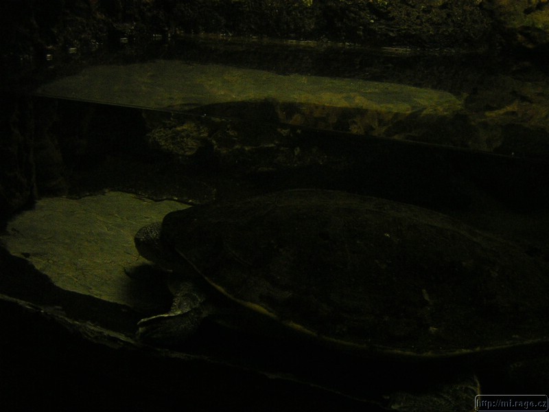 DSCN2259.JPG