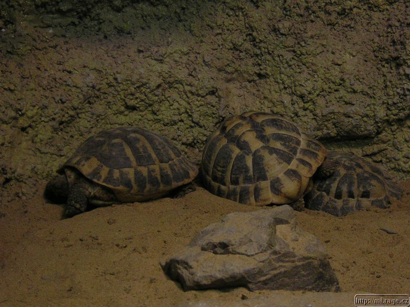 DSCN2262.JPG