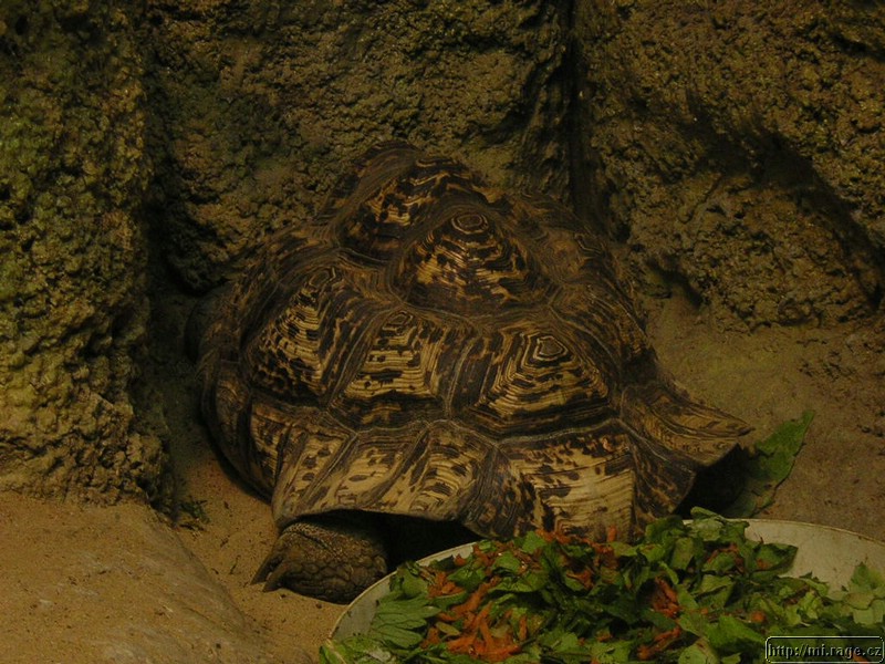DSCN2263.JPG