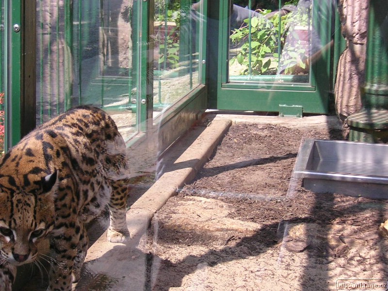 DSCN2274.JPG
