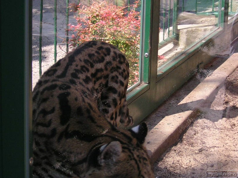 DSCN2276.JPG