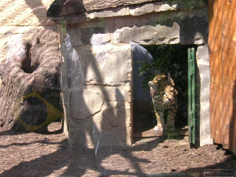 DSCN2279.JPG