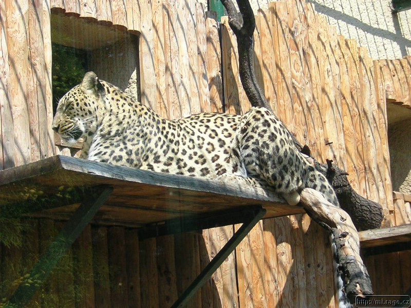 DSCN2280.JPG